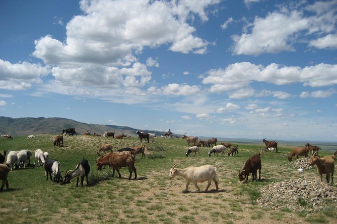 Mini Gobi and the ancient capital Kharkhorin - 4 days - Khogno Khan Uul National Park and the Khugnu Tarna area
