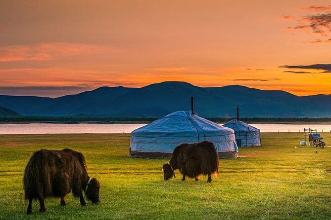 Mongolia - Sedan, Lexus, UAZ Minivan, 4WD Tour& Transport Service - What a driver-mechanic approach means for comfort and confidence