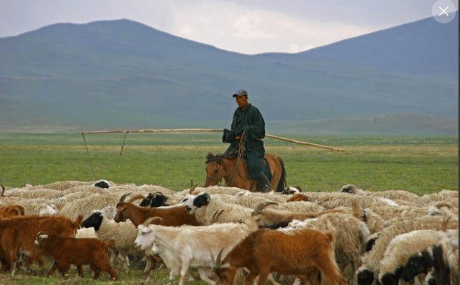 MONGOLIAN NOMADS: 2-Day Horse Trekking & Cow Milking Tour - Getting comfortable in winter: packing and day-to-day reality