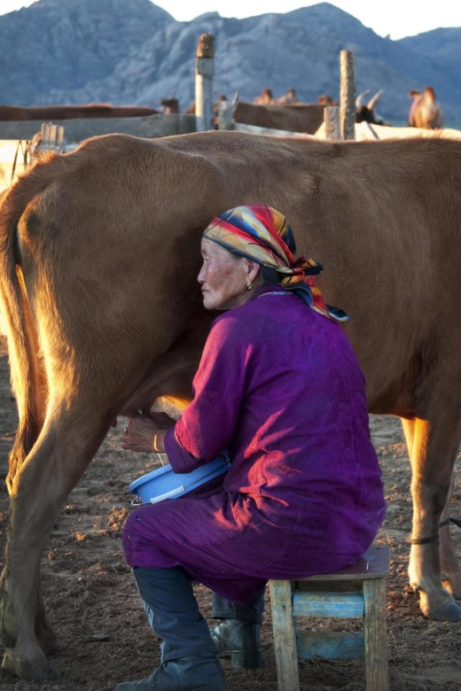 MONGOLIAN NOMADS: 2-Day Horse Trekking & Cow Milking Tour - Weather and schedule changes: how to think about risk