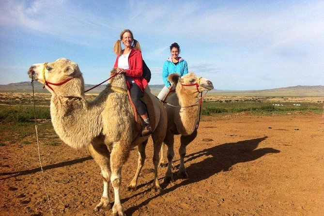 Overnight Semi-Gobi Tour with Nomadic HomeStay - Key Points to Know Before You Go