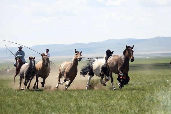 Overnight Semi-Gobi Tour with Nomadic HomeStay - Why Semi-Gobi Beats a Quick Gobi Detour