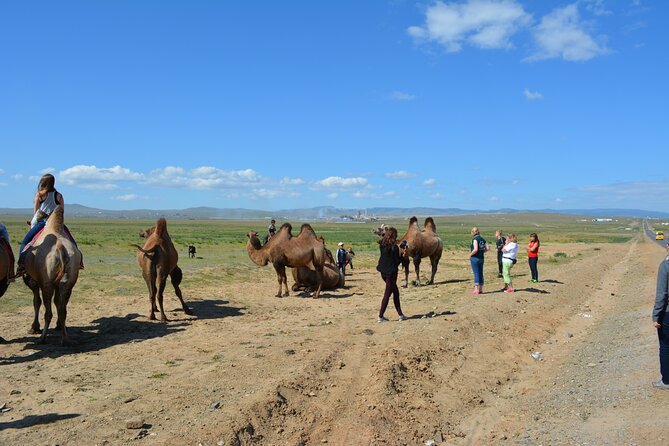 Private 3-Day Tour of National Parks From Ulaanbaatar - Price and Logistics: Is $870 per Person Good Value?