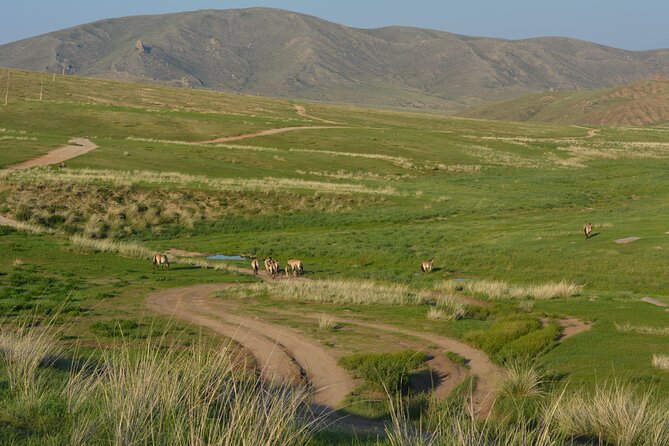 Private 3-Day Tour of National Parks From Ulaanbaatar - Day 2 to Terelj: Bogd Khan Uul, Turtle-Like Rocks, and Nomad Life
