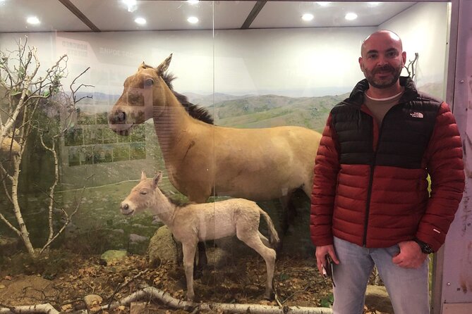 Private Day Tour in Hustai Nuruu National Park - Watching Takhi Horses: Why Season Changes Everything