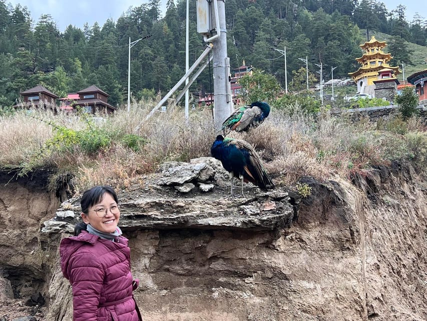 Sacred Landscapes: Exploring Aglag Buteel - A guided walk through temples, murals, and statues