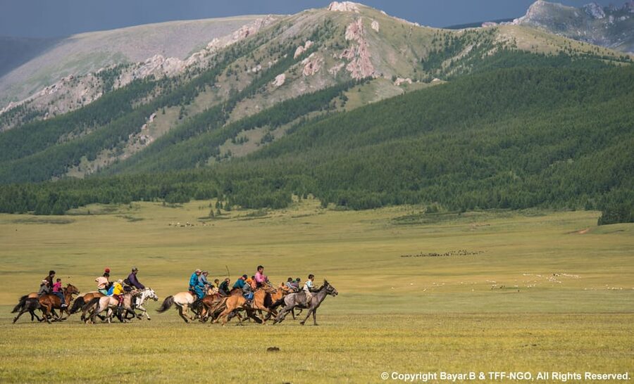 Terelj National Park: Tour with horse riding and hiking - Horse riding in Terelj, the 40 minutes that actually feel like riding