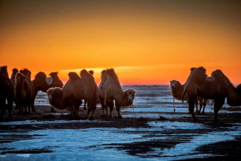 Ulaanbaatar: 4-Day Central Mongolia Winter Tour - Kharkhorin and the Karakorum clues you carry into the day