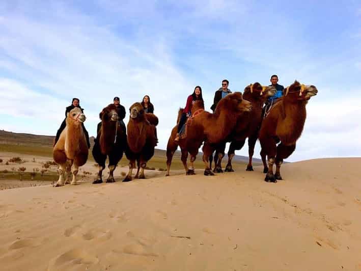 Ulaanbaatar: Semi-Gobi Desert Day Trip & Camel Ride - Key highlights you will actually feel