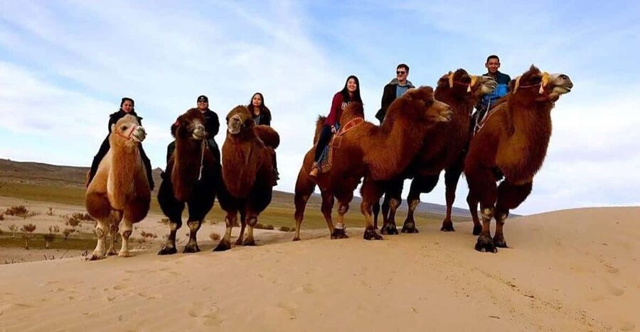 Ulaanbaatar: Semi-Gobi Desert Day Trip & Camel Ride - Price and Value: Is $175 Worth It?