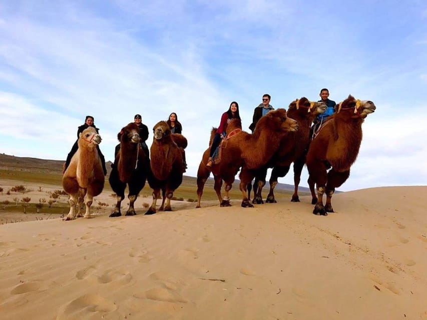 Ulaanbaatar: Semi-Gobi Desert Day Trip & Camel Ride - Timing, Returns, and What to Do About the Long Day