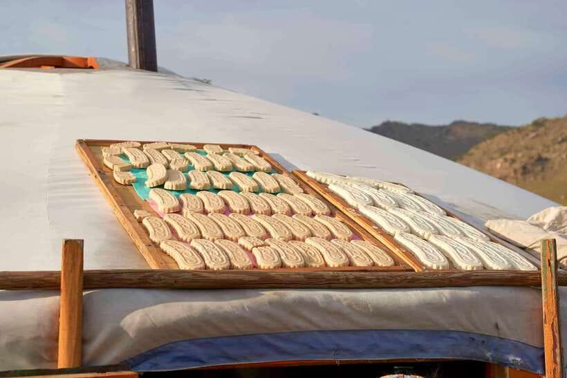 Visit Great Gobi attractions in 3 day /Full adventure - The overall experience: what you’re really buying