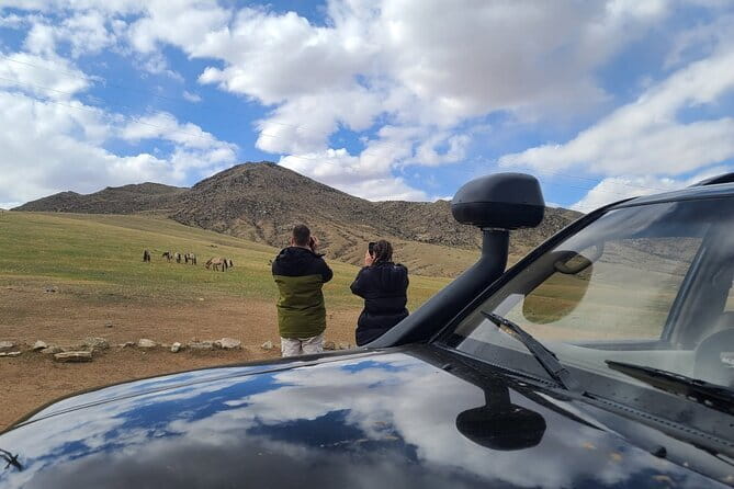 Wildlife Watching Day Tour at Hustai National Park - Why Hustai National Park’s Takhi spotting is different